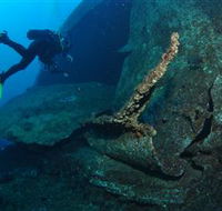 Cementco Dive Site - Tourism Guide