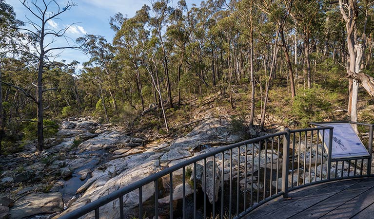 Coolangubra NSW Tourism Guide