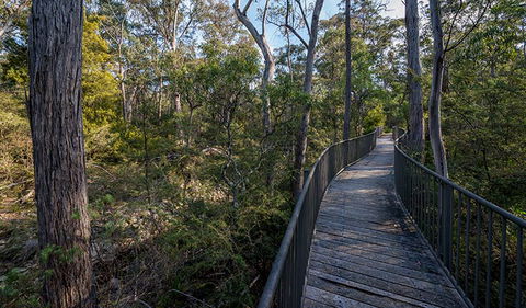 Myanba Gorge Walking Track - Tourism Guide 1