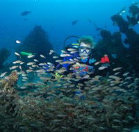 Aarhus Dive Site - Tourism Guide