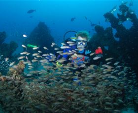 Aarhus Dive Site - Tourism Guide 0
