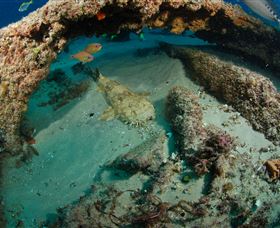 Aarhus Dive Site - Tourism Guide 3