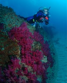 Aarhus Dive Site - Tourism Guide 2
