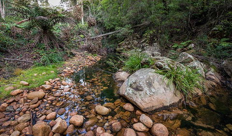 Biamanga National Park - Tourism Guide 2