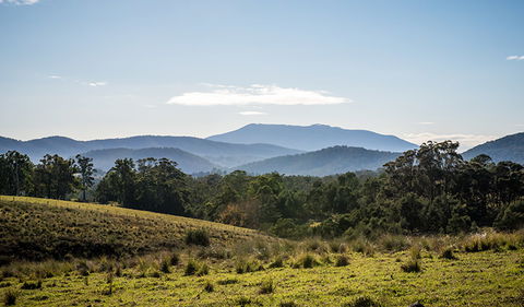 Biamanga National Park - Tourism Guide 3