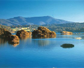 Wagonga Picnic Area - Tourism Guide 0