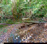 Ulidarra National Park - Tourism Guide