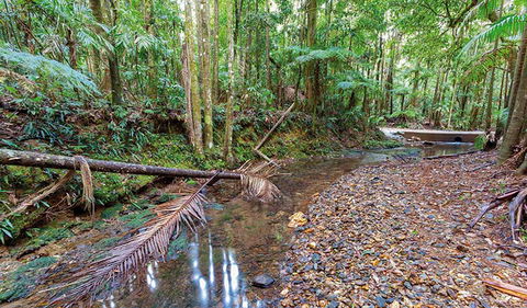 Ulidarra National Park - Tourism Guide 0