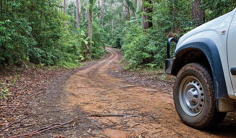 Ulidarra National Park - Tourism Guide 2