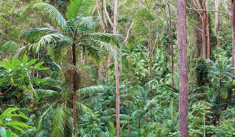 Ulidarra National Park - Tourism Guide 3