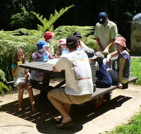 The Pines picnic area - Cruises Travel