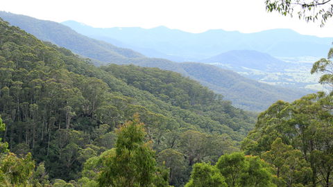 South East Forests National Park - Tourism Guide 1