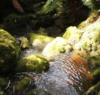 South East Forests National Park - Tourism Guide