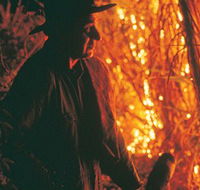 The Shed Gallery - Tourism Guide