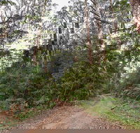 End Peak walking track - Tourism Guide