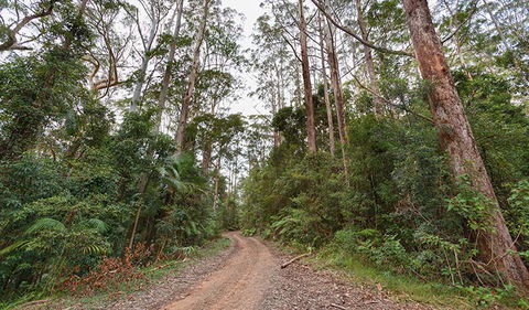 End Peak Walking Track - Tourism Guide 0