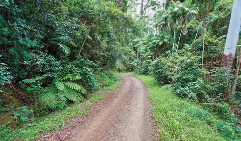 End Peak Walking Track - Tourism Guide 2