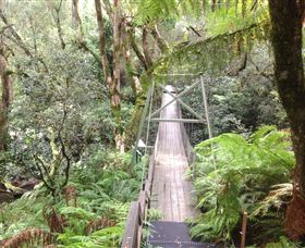 Bemm River Scenic Reserve - Tourism Guide 0