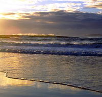 Handkerchief Beach Picnic Area - Tourism Guide