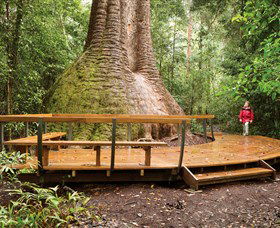 Herons Creek NSW Tourism Guide