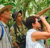 Falls walking track - Tourism Guide