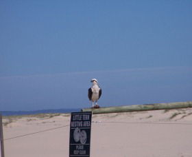 Manning Entrance State Park - Tourism Guide 1
