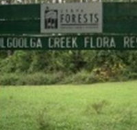 Woolgoolga Creek Flora Reserve - Travel Agents