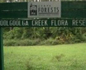 Woolgoolga Creek Flora Reserve - Travel Agents 0