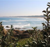 Cape Conran Coastal Park - Travel Agents