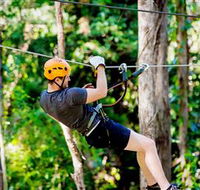 TreeTop Challenge Currumbin - Tourism Guide