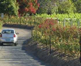 Cassegrain Wines - Tourism Guide 0