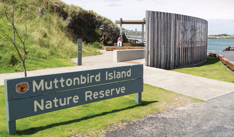 Muttonbird Island Outdoor Learning Space - Tourism Guide 0