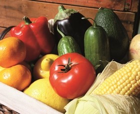 Summerland House Farm - House With No Steps - Travel Agents 1