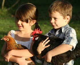 Summerland House Farm - House With No Steps - Travel Agents 2