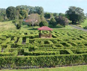 Amaze N Place - Travel Agents 0