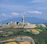 Montague Island Nature Reserve - Tourism Guide