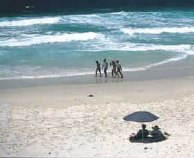 Pippi Beach Yamba - Tourism Guide 1