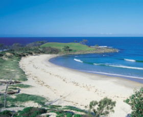 Angourie Beach - Tourism Guide 1