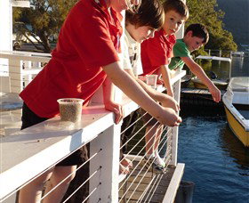Dunbogan Boatshed - Travel Agents 3