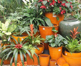 Diamond Waters Garden Nursery - Tourism Guide 1
