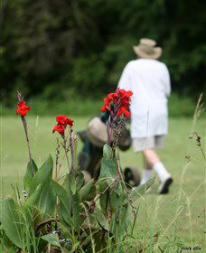 Teven Valley Golf Course - Travel Agents 3