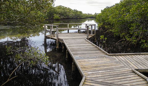 Walk On Water Walking Track - Tourism Guide 1