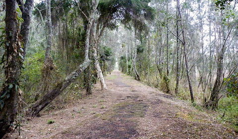Walk On Water Walking Track - Tourism Guide 2