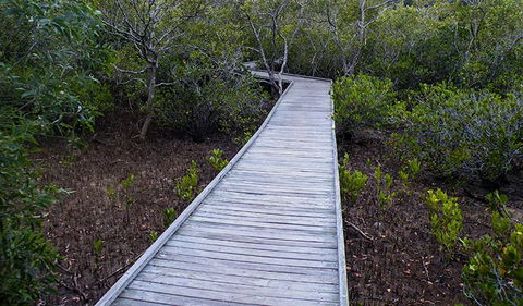 Walk On Water Walking Track - Tourism Guide 3