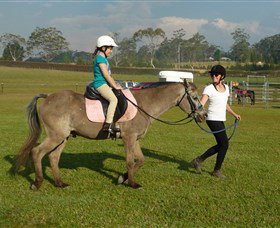 Port Macquarie Horse Riding Centre - Travel Agents 0