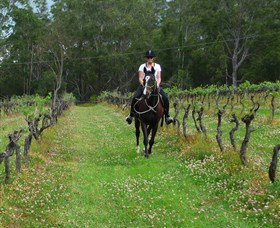 Port Macquarie Horse Riding Centre - Travel Agents 1