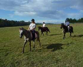 Port Macquarie Horse Riding Centre - Travel Agents 5