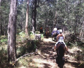 Port Macquarie Horse Riding Centre - Travel Agents 4