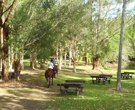 Port Macquarie Horse Riding Centre - Travel Agents 6
