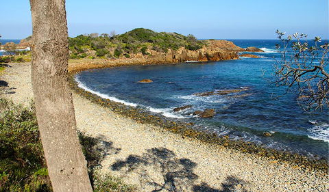 Mimosa Rocks Walking Track - Tourism Guide 2